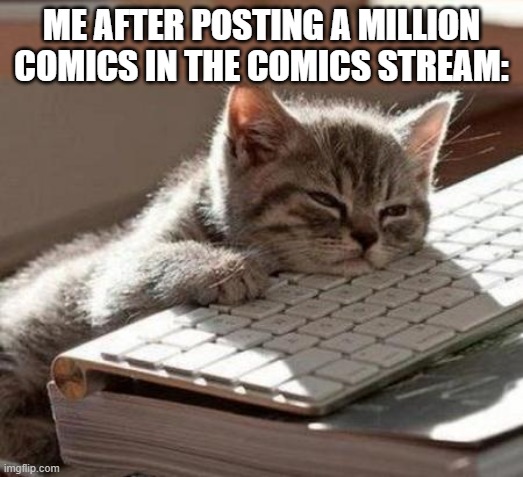 tired cat |  ME AFTER POSTING A MILLION COMICS IN THE COMICS STREAM: | image tagged in tired cat | made w/ Imgflip meme maker