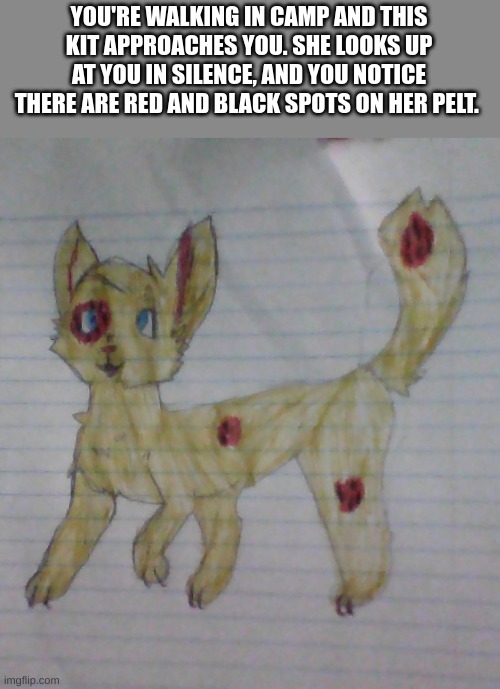 New oc, one I finally drew. Yes, I used a template. Credit to Snaildoki on Deviantart | YOU'RE WALKING IN CAMP AND THIS KIT APPROACHES YOU. SHE LOOKS UP AT YOU IN SILENCE, AND YOU NOTICE THERE ARE RED AND BLACK SPOTS ON HER PELT. | image tagged in warrior cat oc | made w/ Imgflip meme maker