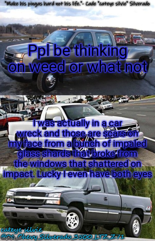 /srs | Ppl be thinking on weed or what not; I was actually in a car wreck and those are scars on my face from a bunch of impaled glass shards that broke from the windows that shattered on impact. Lucky I even have both eyes | image tagged in cateye silvie's temp by cateye silvie | made w/ Imgflip meme maker