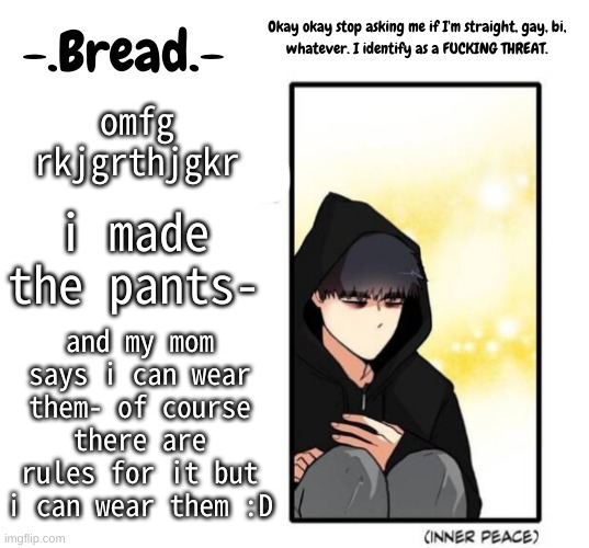 Im gonna wear then under like shorts when i go to chuck e cheese tomorrow- | omfg rkjgrthjgkr; i made the pants-; and my mom says i can wear them- of course there are rules for it but i can wear them :D | image tagged in breads inner peace temp | made w/ Imgflip meme maker
