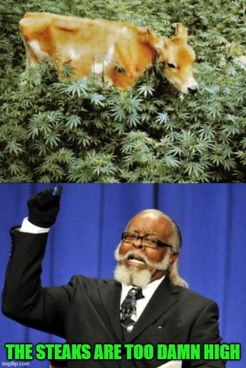 The Steaks are High | THE STEAKS ARE TOO DAMN HIGH | image tagged in memes,too damn high | made w/ Imgflip meme maker
