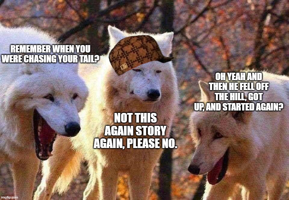 Really dude, this again? |  REMEMBER WHEN YOU WERE CHASING YOUR TAIL? OH YEAH AND THEN HE FELL OFF THE HILL, GOT UP, AND STARTED AGAIN? NOT THIS AGAIN STORY AGAIN, PLEASE NO. | image tagged in 2/3 wolves laugh | made w/ Imgflip meme maker