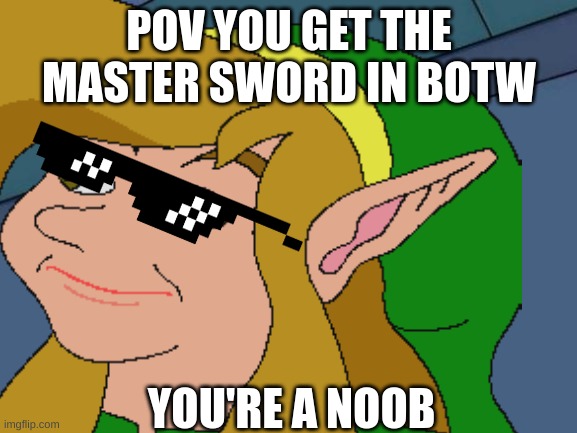 POV YOU GET THE MASTER SWORD IN BOTW; YOU'RE A NOOB | image tagged in botw | made w/ Imgflip meme maker