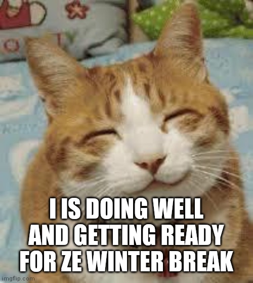 Happy cat | I IS DOING WELL AND GETTING READY FOR ZE WINTER BREAK | image tagged in happy cat | made w/ Imgflip meme maker