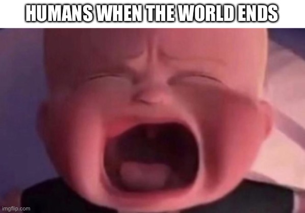 Humans don’t make sense | HUMANS WHEN THE WORLD ENDS | image tagged in boss baby crying | made w/ Imgflip meme maker