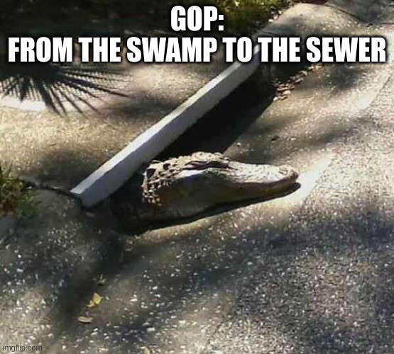 Alligatot from the sewer | GOP:
FROM THE SWAMP TO THE SEWER | image tagged in alligatot from the sewer | made w/ Imgflip meme maker