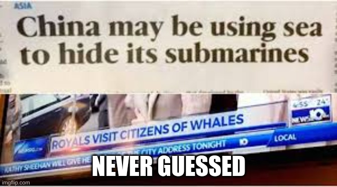 china 100000 iq | NEVER GUESSED | image tagged in funny | made w/ Imgflip meme maker