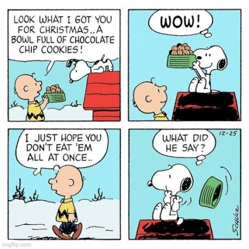 Chocolate chip cookies | image tagged in snoopy,charlie brown,christmas,cookies,comics/cartoons,comics | made w/ Imgflip meme maker