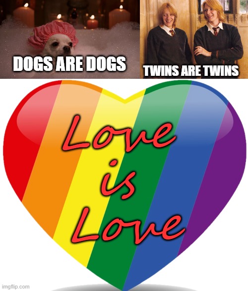Love is Love | DOGS ARE DOGS; TWINS ARE TWINS; Love 
is 
Love | image tagged in chihuahua bubble bath,fred and george weasley laughing,rainbow heart,lgbtq | made w/ Imgflip meme maker