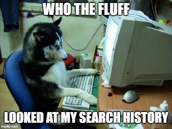 dog on computer | WHO THE FLUFF; LOOKED AT MY SEARCH HISTORY | image tagged in dog on computer | made w/ Imgflip meme maker