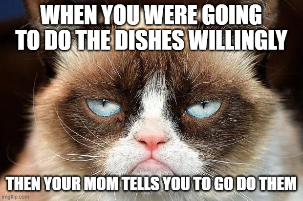 Grumpy Cat Not Amused |  WHEN YOU WERE GOING TO DO THE DISHES WILLINGLY; THEN YOUR MOM TELLS YOU TO GO DO THEM | image tagged in memes,grumpy cat not amused,grumpy cat | made w/ Imgflip meme maker
