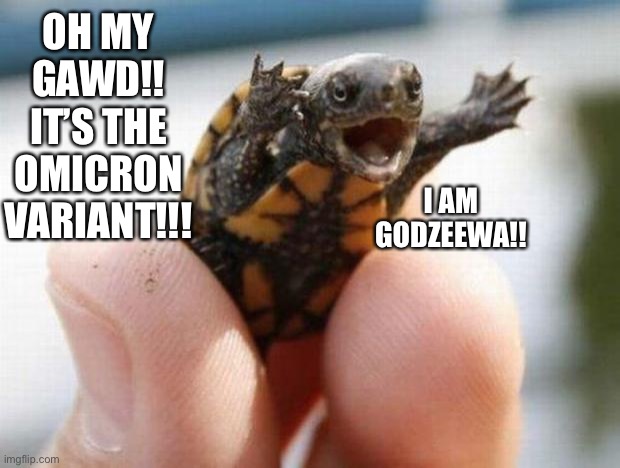 Omicron variant …that’s adorable | OH MY GAWD!! IT’S THE OMICRON VARIANT!!! I AM GODZEEWA!! | image tagged in happy baby turtle,omicron,cuteness overload | made w/ Imgflip meme maker