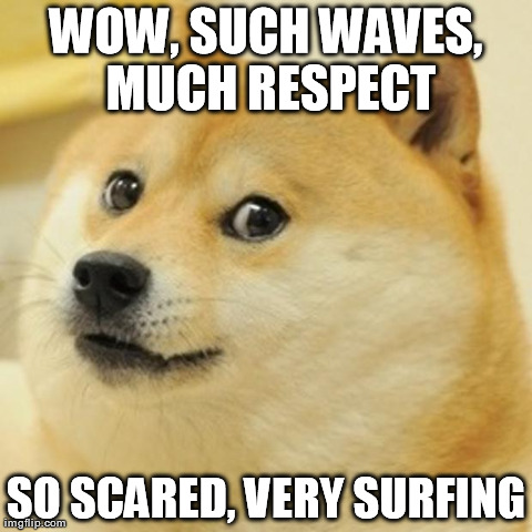 Doge Meme | WOW, SUCH WAVES, MUCH RESPECT SO SCARED, VERY SURFING | image tagged in memes,doge | made w/ Imgflip meme maker