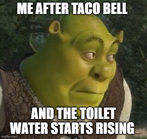 oh no | ME AFTER TACO BELL; AND THE TOILET WATER STARTS RISING | image tagged in what are you looking at,why are you reading this,stop reading the tags,stop it | made w/ Imgflip meme maker