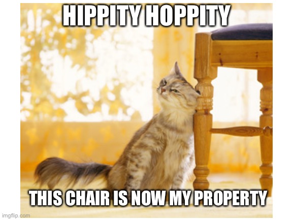 you won’t get it unless you have a cat | HIPPITY HOPPITY; THIS CHAIR IS NOW MY PROPERTY | image tagged in cats,cat,funny memes,funny cat memes,cats be like,funny animals | made w/ Imgflip meme maker
