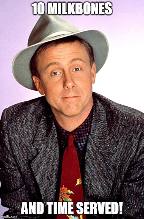 Harry Anderson | 10 MILKBONES AND TIME SERVED! | image tagged in harry anderson | made w/ Imgflip meme maker