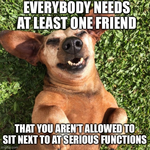 Laughing dog |  EVERYBODY NEEDS AT LEAST ONE FRIEND; THAT YOU AREN’T ALLOWED TO SIT NEXT TO AT SERIOUS FUNCTIONS | image tagged in laughing dog | made w/ Imgflip meme maker
