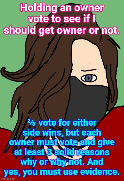 Kyler Kamaki | Holding an owner vote to see if I should get owner or not. ⅔ vote for either side wins, but each owner must vote and give at least 3 solid reasons why or why not. And yes, you must use evidence. | image tagged in kyler kamaki | made w/ Imgflip meme maker