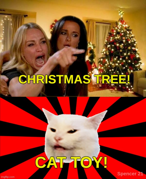 It depends on who you ask. | CHRISTMAS TREE! CAT TOY! | image tagged in starburst smudge,smudge the cat,christmas tree,woman yelling at cat,christmas,merry christmas | made w/ Imgflip meme maker