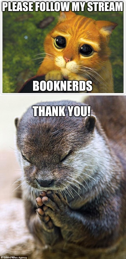 PLEASE FOLLOW MY STREAM; BOOKNERDS; THANK YOU! | image tagged in memes,shrek cat,thank you lord otter | made w/ Imgflip meme maker