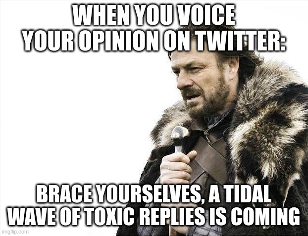 twitter be cronge tho | WHEN YOU VOICE YOUR OPINION ON TWITTER:; BRACE YOURSELVES, A TIDAL WAVE OF TOXIC REPLIES IS COMING | image tagged in memes,brace yourselves x is coming | made w/ Imgflip meme maker