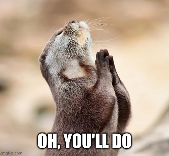 animal praying | OH, YOU'LL DO | image tagged in animal praying | made w/ Imgflip meme maker