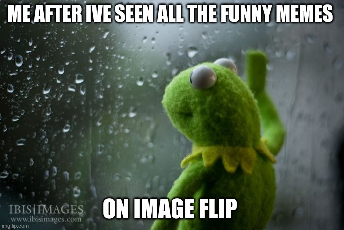 kermit window | ME AFTER IVE SEEN ALL THE FUNNY MEMES; ON IMAGE FLIP | image tagged in kermit window | made w/ Imgflip meme maker