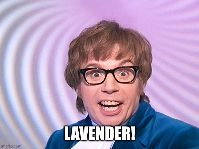 Austin Powers Lavender | LAVENDER! | image tagged in austin powers lavender | made w/ Imgflip meme maker