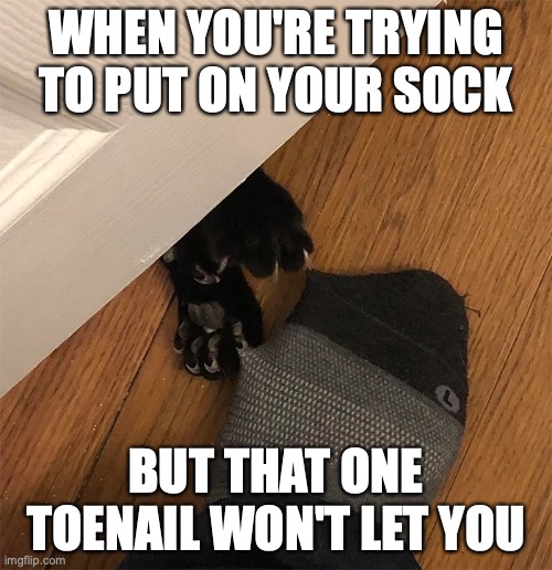 that one toenail | WHEN YOU'RE TRYING TO PUT ON YOUR SOCK; BUT THAT ONE TOENAIL WON'T LET YOU | image tagged in toenail,funny | made w/ Imgflip meme maker