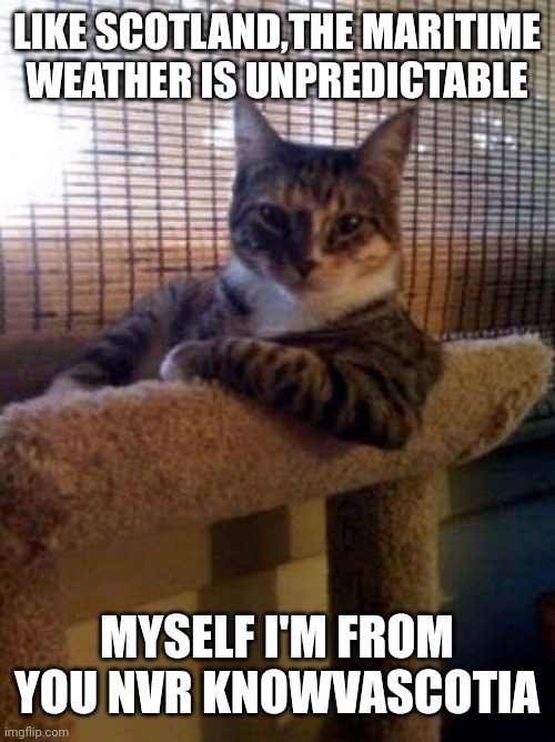 The Most Interesting Cat In The World Meme | LIKE SCOTLAND,THE MARITIME WEATHER IS UNPREDICTABLE; MYSELF I'M FROM YOU NVR KNOWVASCOTIA | image tagged in memes,the most interesting cat in the world | made w/ Imgflip meme maker