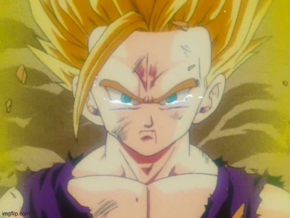 sad Gohan ssj2 | image tagged in sad gohan ssj2 | made w/ Imgflip meme maker