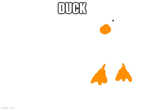 duck | DUCK | image tagged in blank white template,duck | made w/ Imgflip meme maker