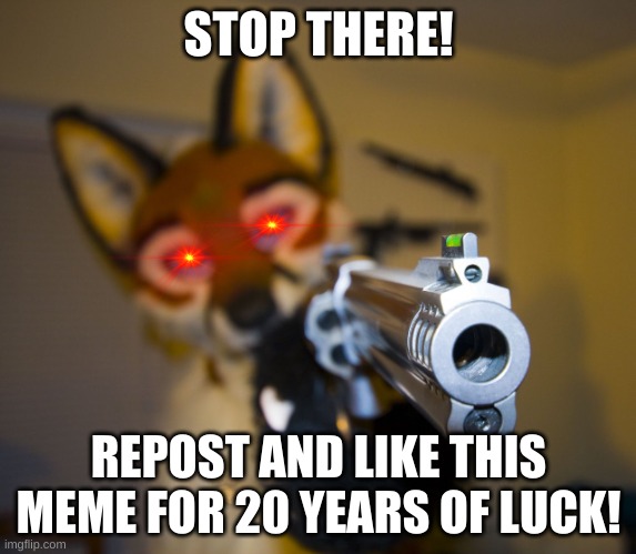 . | STOP THERE! REPOST AND LIKE THIS MEME FOR 20 YEARS OF LUCK! | image tagged in furry with gun | made w/ Imgflip meme maker