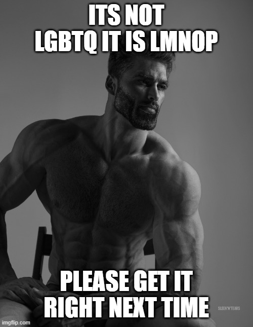 Giga Chad | ITS NOT LGBTQ IT IS LMNOP PLEASE GET IT RIGHT NEXT TIME | image tagged in giga chad | made w/ Imgflip meme maker