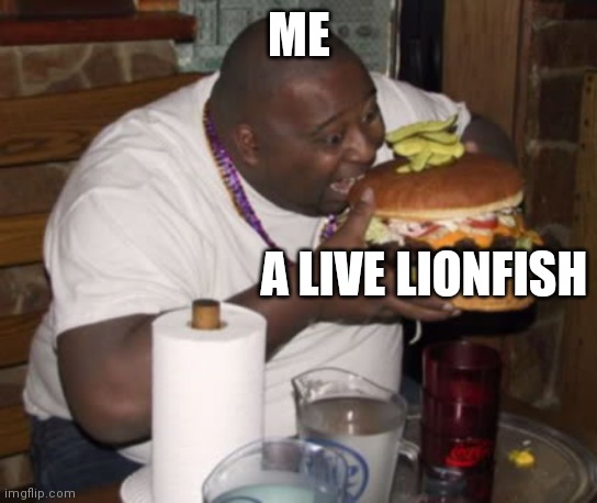 Fat guy eating burger | ME A LIVE LIONFISH | image tagged in fat guy eating burger | made w/ Imgflip meme maker