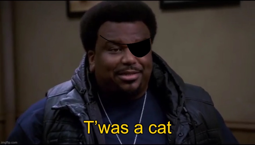 Fury on what happened to his eye |  T’was a cat | image tagged in twas a cat,nick fury,marvel,doug judy,pontiac bandit,mcu | made w/ Imgflip meme maker