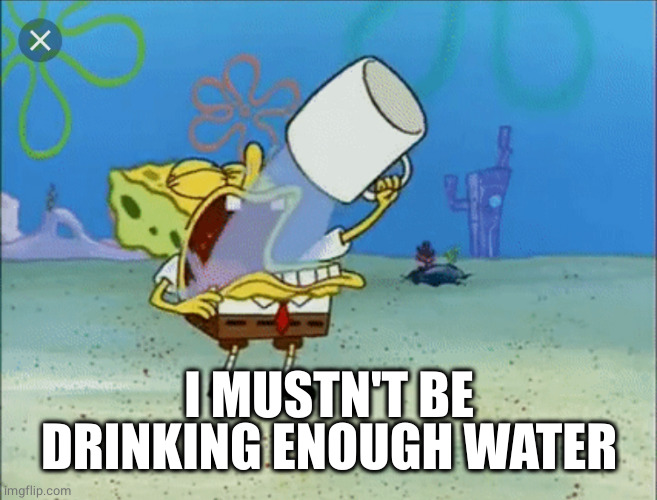 Spongebob drinking water | I MUSTN'T BE DRINKING ENOUGH WATER | image tagged in spongebob drinking water | made w/ Imgflip meme maker