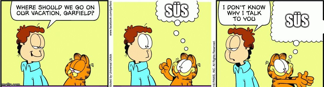 Garfield comic vacation | SÜS; SÜS | image tagged in garfield comic vacation | made w/ Imgflip meme maker