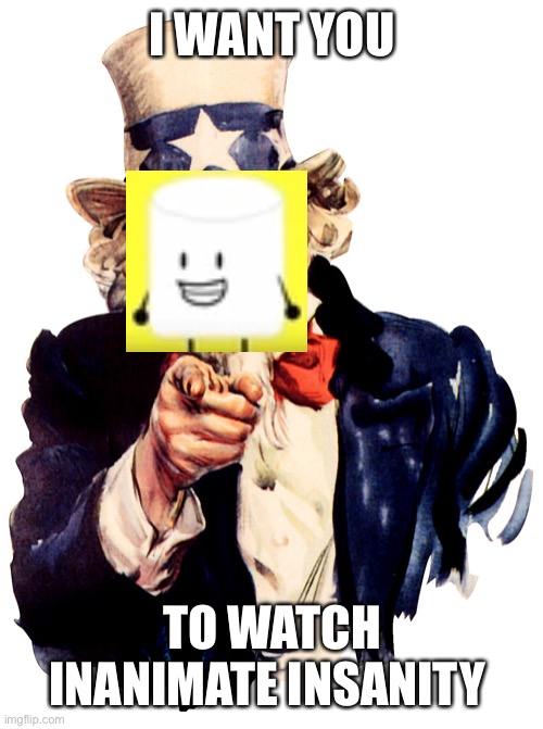 ok | I WANT YOU; TO WATCH INANIMATE INSANITY | image tagged in uncle sam pointing finger,inanimate insanity | made w/ Imgflip meme maker
