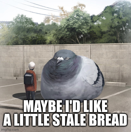 Beeg Birb | MAYBE I'D LIKE A LITTLE STALE BREAD | image tagged in beeg birb | made w/ Imgflip meme maker