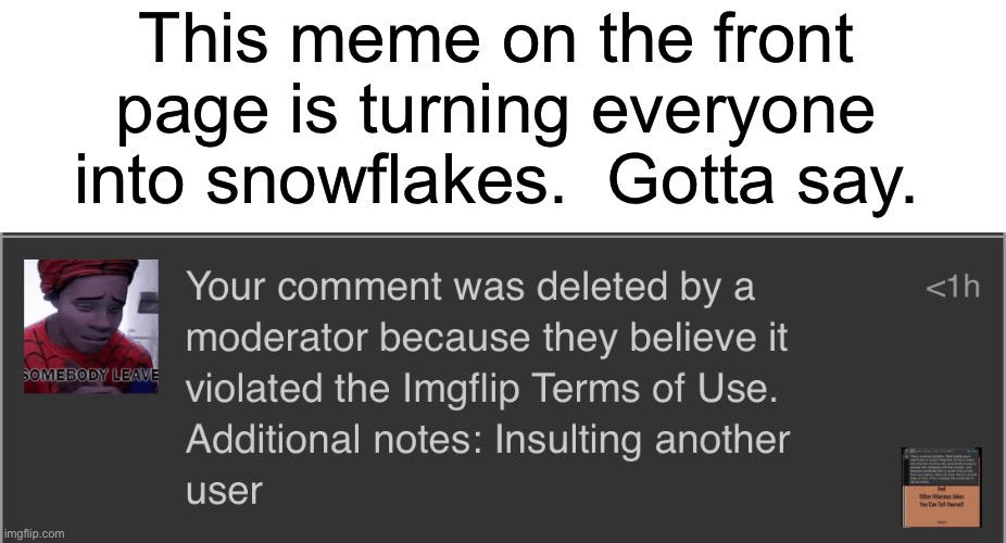 If you try to tell them they’re wrong about people leaving, you’re TOXIC! | This meme on the front page is turning everyone into snowflakes.  Gotta say. | image tagged in funny | made w/ Imgflip meme maker