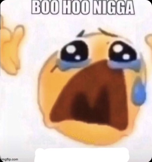 boo hoo I don't care | image tagged in boo hoo i don't care | made w/ Imgflip meme maker