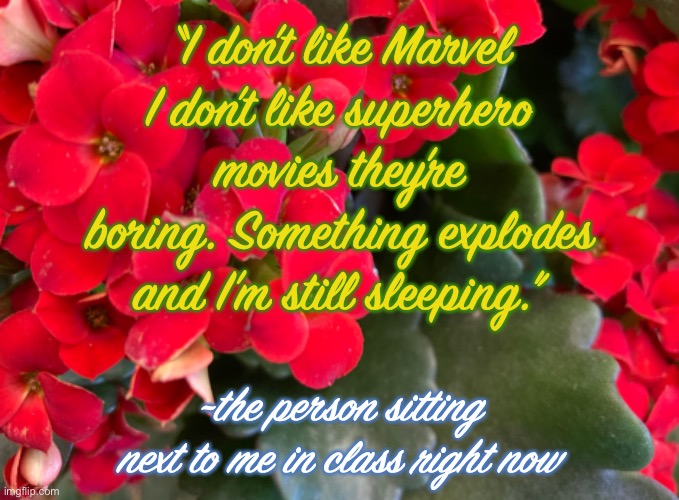 I just overheard this | “I don’t like Marvel I don’t like superhero movies they’re boring. Something explodes and I’m still sleeping.”; ~the person sitting next to me in class right now | image tagged in marvel,superhero movies,overheard conversations | made w/ Imgflip meme maker