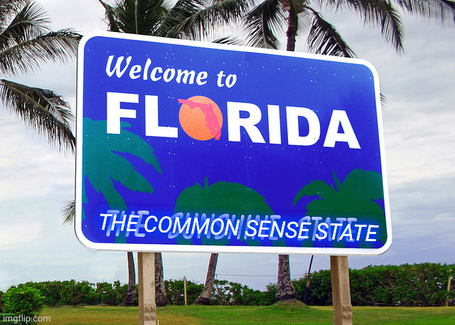 Florida | THE COMMON SENSE STATE | image tagged in florida | made w/ Imgflip meme maker