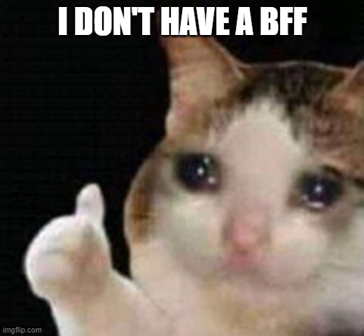 Approved crying cat | I DON'T HAVE A BFF | image tagged in approved crying cat | made w/ Imgflip meme maker