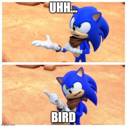 Sonic boom | UHH... BIRD | image tagged in sonic boom | made w/ Imgflip meme maker