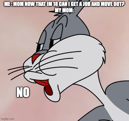 My mom |  ME : MOM NOW THAT IM 18 CAN I GET A JOB AND MOVE OUT?
MY MOM:; NO | image tagged in bugs bunny no | made w/ Imgflip meme maker