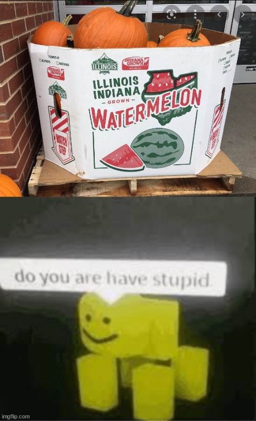 yea... watermelon.... | image tagged in waterkin,do you are have stupid,barney will eat all of your delectable biscuits,stop reading the tags | made w/ Imgflip meme maker