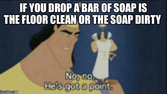 no no hes got a point | IF YOU DROP A BAR OF SOAP IS THE FLOOR CLEAN OR THE SOAP DIRTY | image tagged in no no hes got a point | made w/ Imgflip meme maker