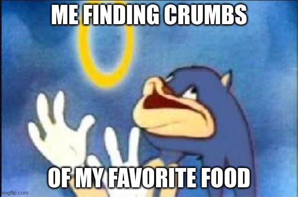 We can all relate | ME FINDING CRUMBS; OF MY FAVORITE FOOD | image tagged in sonic derp | made w/ Imgflip meme maker